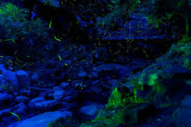 川崎市多摩区 - 号外NET