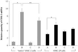 Overcoming Paclitaxel Resistance In Uterine Endometrial