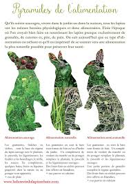 Les Bases De L Alimentation Du Lapin La Dure Vie Du Lapin Urbain