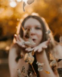 Wildflower Dreams Photography