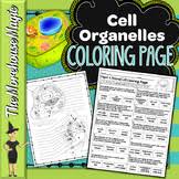 Animal cell coloring sheet answer key labeled wright. Animal Cell Coloring Answer Key Worksheets Teaching Resources Tpt