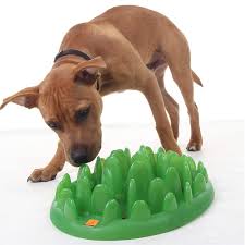 A puzzle dog bowl or dog puzzle feeder can also prolong the excitement of mealtimes, mimicking the process a wild canine might go through. Choosing The Best Interactive Toys And Food Puzzles For Your Dog