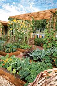 45 Best Backyard Vegetable Garden Designs Ideas Home Garden Garden Layout Vegetable Vegetable Garden Design Garden Design