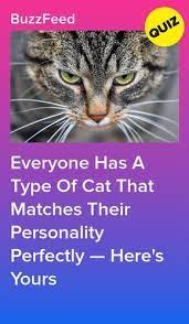 Pin On Hey Quizzes