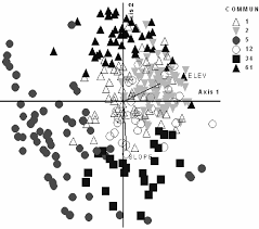 Image result for Brachystegia torrei