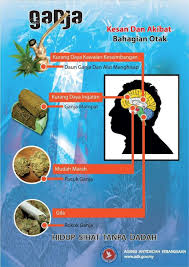 Maybe you would like to learn more about one of these? Twitter à¤ªà¤° Aadk Johor Info Pencegahan Kesan Dadah Jenis Ganja Ke Atas Tubuh Badan Manusia Jauhi Najis Dadah Dadah Memudaratkan Diri Jauhidadah Komunitikitatanggunggjawabkita Https T Co Dleu8cxyso
