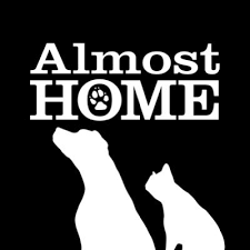 Tragedy of free to good home. Almost Home Animal Rescue Inc Almosthomeliny Twitter