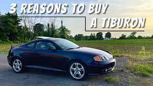 Image result for Moonlit Blue 2004 Tiburon