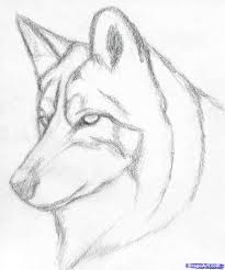 Easy to draw cool an. Drawing Wolf Cool Drawings Of Animals