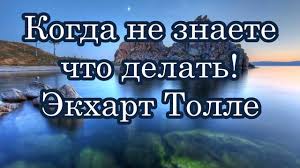 книга синий и желтый не дают зеленый читать онлайн Kogda Ne Znaete Chto Delat Ekhart Tolle Psihologiya Luchshie Pesni Muzyka