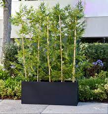 Railing planters help fix one of the downsides of living in an apartment in a big city (or any city for that matter). 10 Best Outdoor Privacy Screen Ideas For Your Backyard Home And Gardens