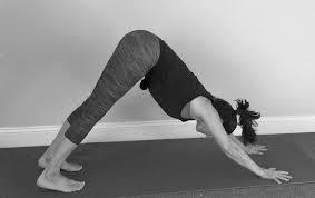 Here's a look at some free yoga classes groups near north york. Dancing Crow Yoga Home Facebook