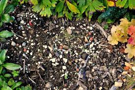 Check spelling or type a new query. Eggshells Do They Decompose In The Garden
