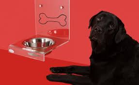 Un numero importante dei proprietari considerano i loro cani come un amico con la quale condividono tutto. Gli Alimenti Piu Tossici Per I Pet Si Trovano In Cucina La Rivista Della Natura