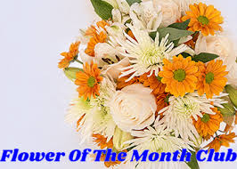 We did not find results for: Best Monthly Flower Delivery Gifs Gfycat