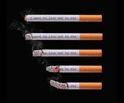 Fume La Vie Avant Qu Elle Te Fume Blog De Citation Xtexte