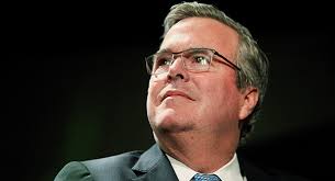 How well do you know Nicolle Wallace?