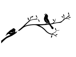 Birds On A Branch Tattoo Bing Images
