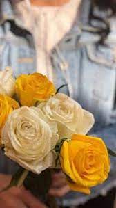 خلفيات ايفون ورد اصفر iphone wallpapers download rose flower wallpaper yellow roses flower wallpaper