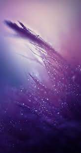 Purple Rain Hd Wallpaper For Your Android Phone Spliffmobile 744 1392 Purple Rain Wallpapers 23 Wallpa Iphone 5s Wallpaper Rain Wallpapers Iphone 6 Wallpaper