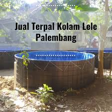 Jual Terpal Kolam Lele Palembang Siap Pakai Prassterpal Com