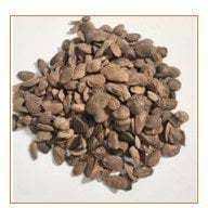 Image result for Hunteria umbellata