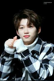 Pin By Aesthetic Obsessed On Stray Kids Felix Stray Kids Felix Stray