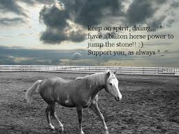 We did not find results for: Wild Horse In The Positive Quotes Quotesgram