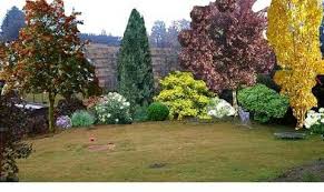 Gestaltung Mit Saulenbaum Pflanzen Garten Garten Ideen