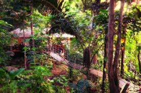 Bunga raya resort is a beach resort located on pulau gaya, the largest island in the tunku abdul rahman park, just off kota kinabalu. Bunga Raya Island Resort Spa Gaya Island Updated 2021 Prices