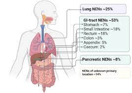 Diffuse Hormonal Systems Endotext Ncbi Bookshelf
