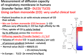 Image result for Diffusing Capacity