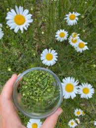 past classes & events