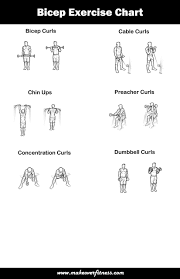 printable exercises charts for chest arms and shoulders