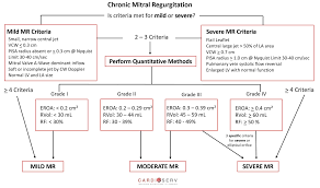 Ases Mitral Regurgitation Algorithm Simplified