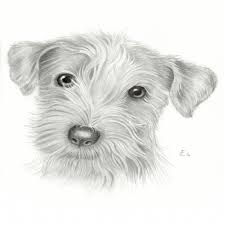 Risultati Immagini Per Disegni Facili Da Fare Ma Belli Relativi Ad Animali Tekenen