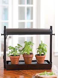 Micro Grow Light Garden Indoor Herb Garden Free Shipping Tabletop Grow Lights Herbs Indoors Herb Garden In Kitchen Grow Lights