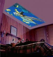 Best mini projector for bedroom ceiling. Big Screen Home Theater On The Bedroom Ceiling Diy For 200 Hubpages