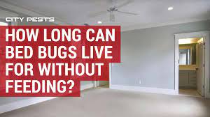 No stains formula · read more · click here to claim yours · reviews How Long Can Bed Bugs Live For In An Empty House Correct Answer