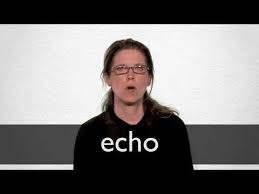 French Translation Of Echo Collins English French Dictionary