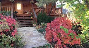 We did not find results for: Canyon Wren Bed And Breakfast Bluff Ut 2021 Reviews Pictures Deals