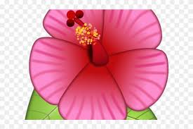 Emoji Clipart Flower Flower Emoji Sticker Iphone Png Download 801238 Pikpng