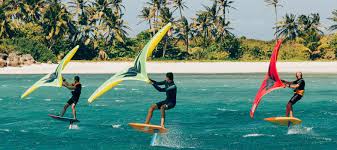 Planche a voile débutant 320 l windsurf le pratiquant débutant/ loisir de planche à voile à la recherche d'une planche stable et très facile à transporter. Comment Trouver La Meilleure Planche De Wingsurf