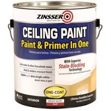 Kilz Color Change Stainblocking Interior Ceiling Paint