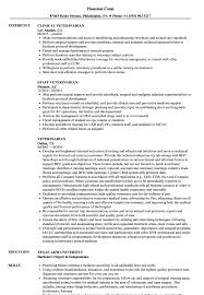 Veterinarian Resume Samples Velvet Jobs
