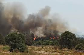 48 δασικές μέσα σε λίγες ώρες. M4p4o68 Ked0am