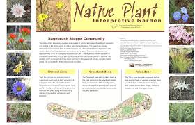 There are 30 native coniferous species and 37 native. Native Plants Weeds Friends And Neighbors Of Deschutes Canyon Area