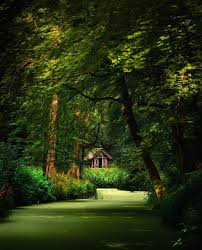 Elswout Cabins In The Woods Landscape Nature
