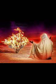 Which is the best definition of the word mushiness? The Magic Mushy Spell Poets