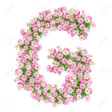 You of g alphabet phonic sound and 5 words hd image will be found . Letter G Alphabet With Zinnia Flower Abc Concept Type As Logo Typography Design Stock Photo Picture And Royalty Free Image Image 40321060